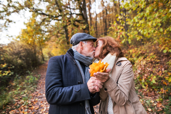 Senior couple on a walk in a forest in an autumn nature, holding yellow leaves and kissing.