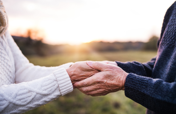 A close-up of holding hands of unrecognizable senior couple in an autumn nature at sunset.