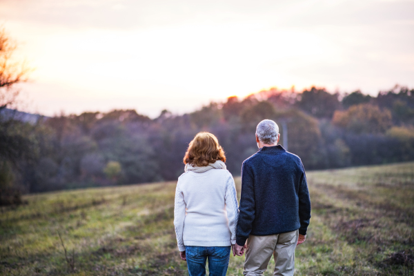 Senior couple walking on a meadow in an autumn nature, holding hands. A rear view of a man and woman on a walk.