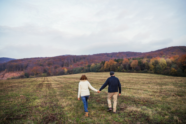 Senior couple walking on a meadow in an autumn nature, holding hands. A rear view of a man and woman on a walk.