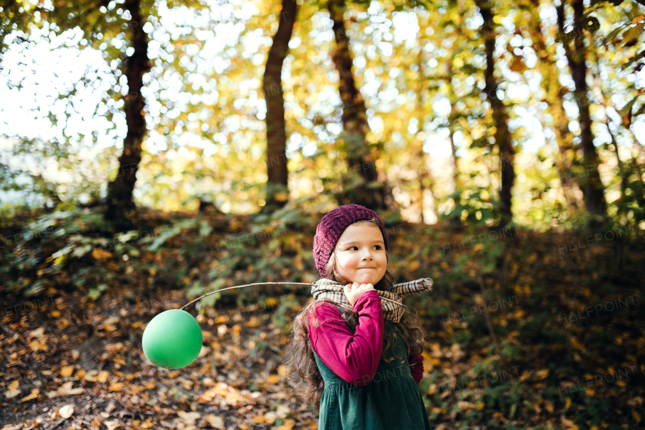 A portrait of a small toddler girl holding balloon in park in sunny autumn nature, walking.