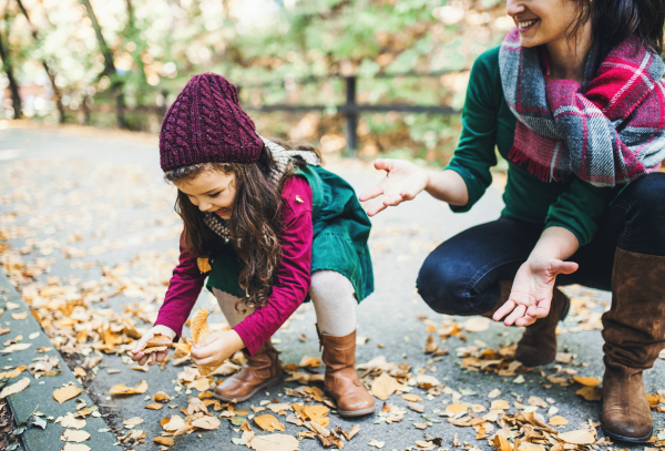 An unrecognizable young mother with a toddler daughter gathering leaves in forest in autumn nature.