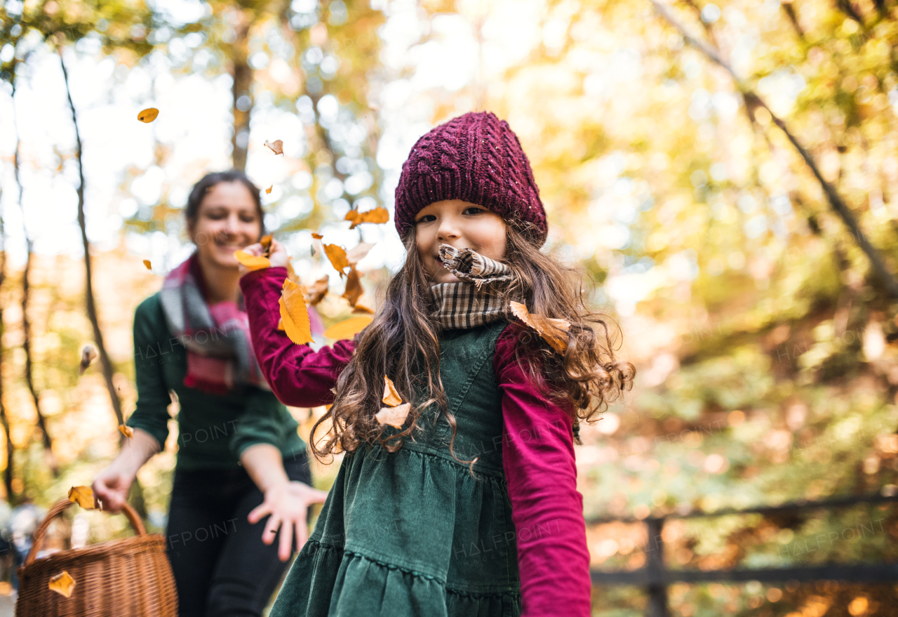 A portrait of toddler girl with mother in forest in autumn nature, having fun.