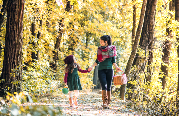 A portrait of young mother with a basket and a toddler daughter walking in forest in autumn nature, holding hands.