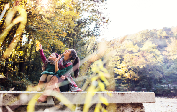 A mother with a toddler daughter sitting on wall in forest in autumn nature.