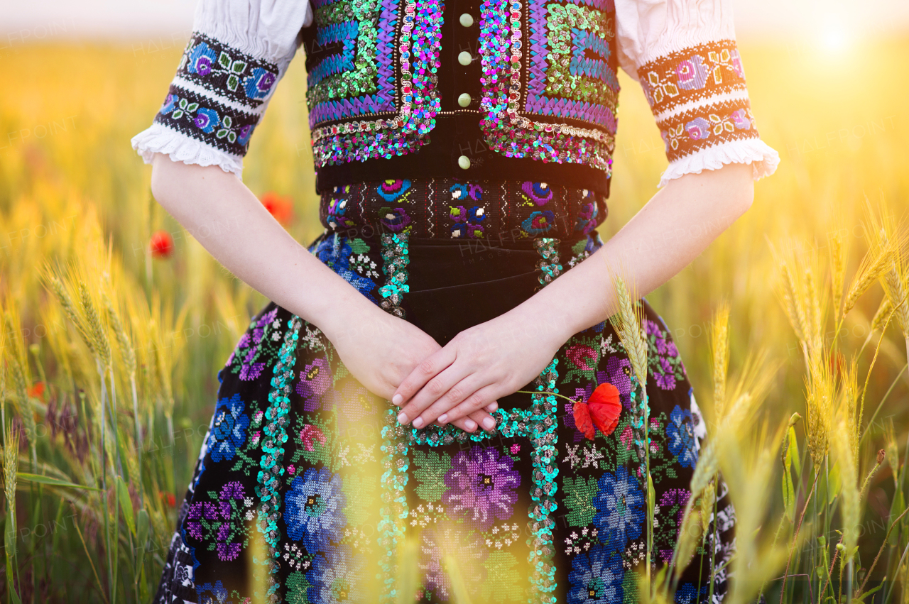 Portrait of young beautiful woman in traditional folk dress outdoors.