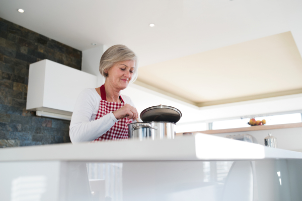 Beautiful senior woman in the kitchen cooking, mixing food in a pot.