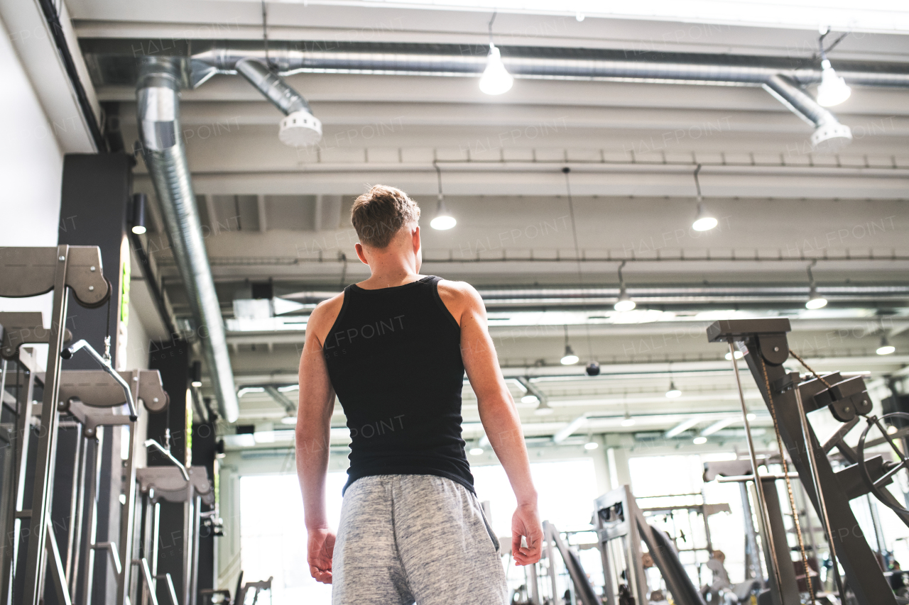 Young man in modern crossfit gym, standing. Rear view. Copy space.