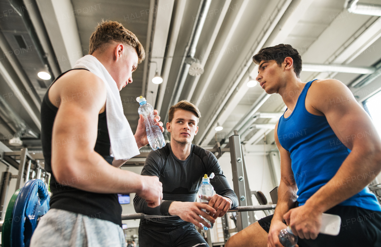 Young male friends in modern crossfit gym, standing and talking.