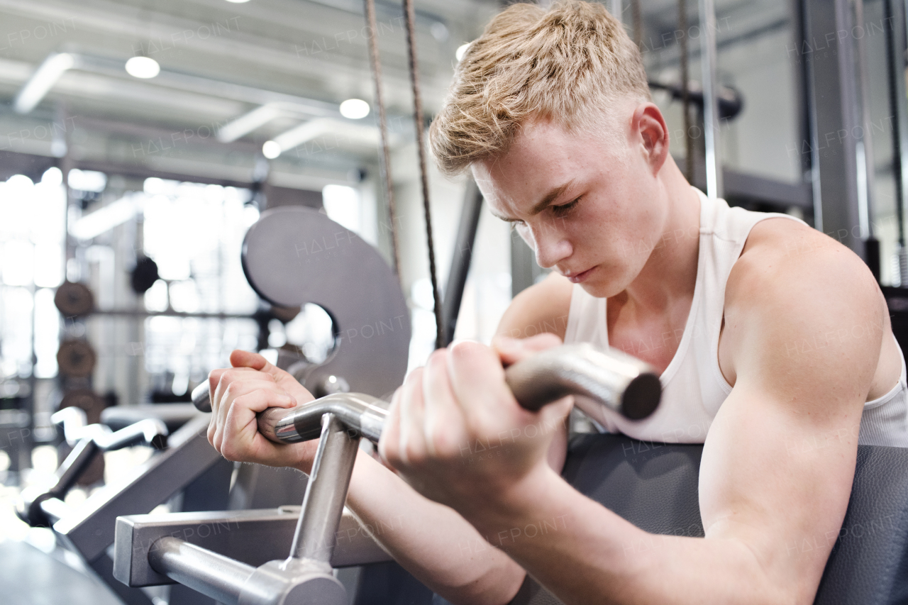 Young handsome fit man working out, using weight machine for arms. Bodybuilder doing sitting biceps curls with t-bar.