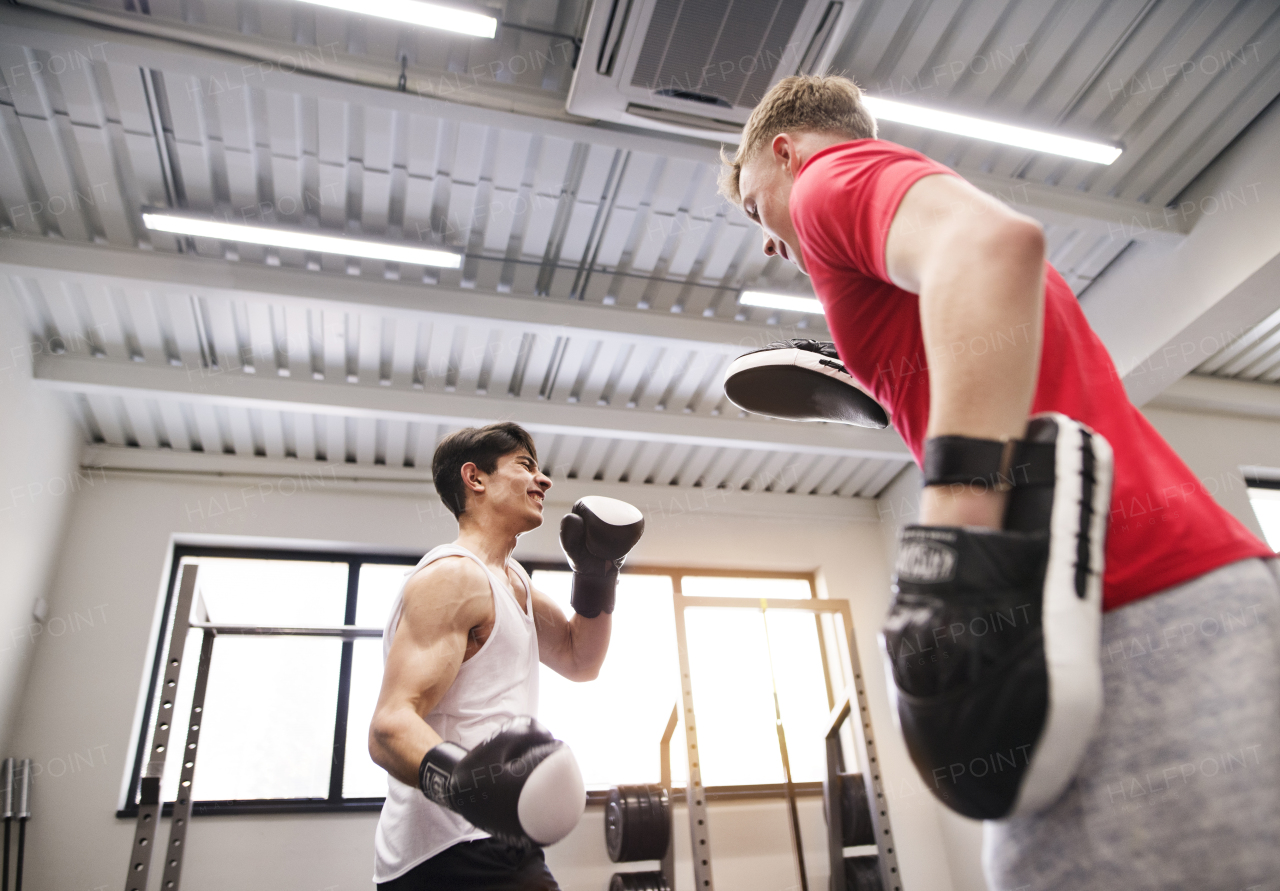 Handsome fit hispanic man in gym boxing with his personal trainer