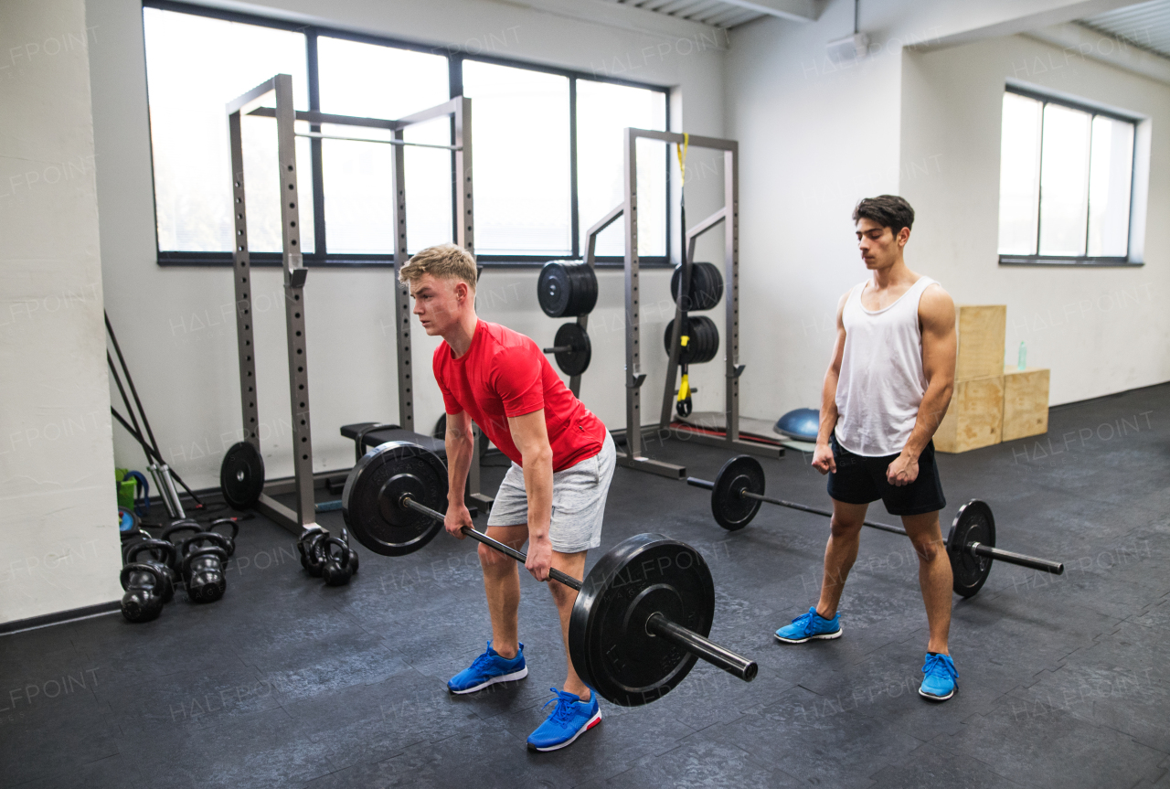 Young handsome fit men in gym working out, lifting bar of barbell, flexing muscles.