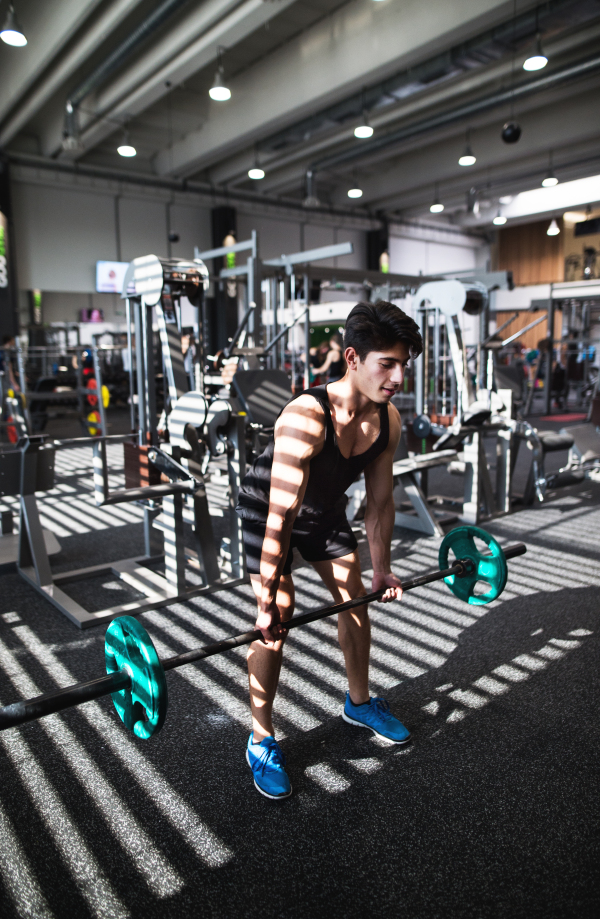 Young handsome fit man in gym working out, lifting bar of barbell, flexing muscles.