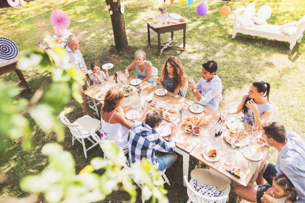 Family celebration outside in the backyard. Big garden party. High angle view.