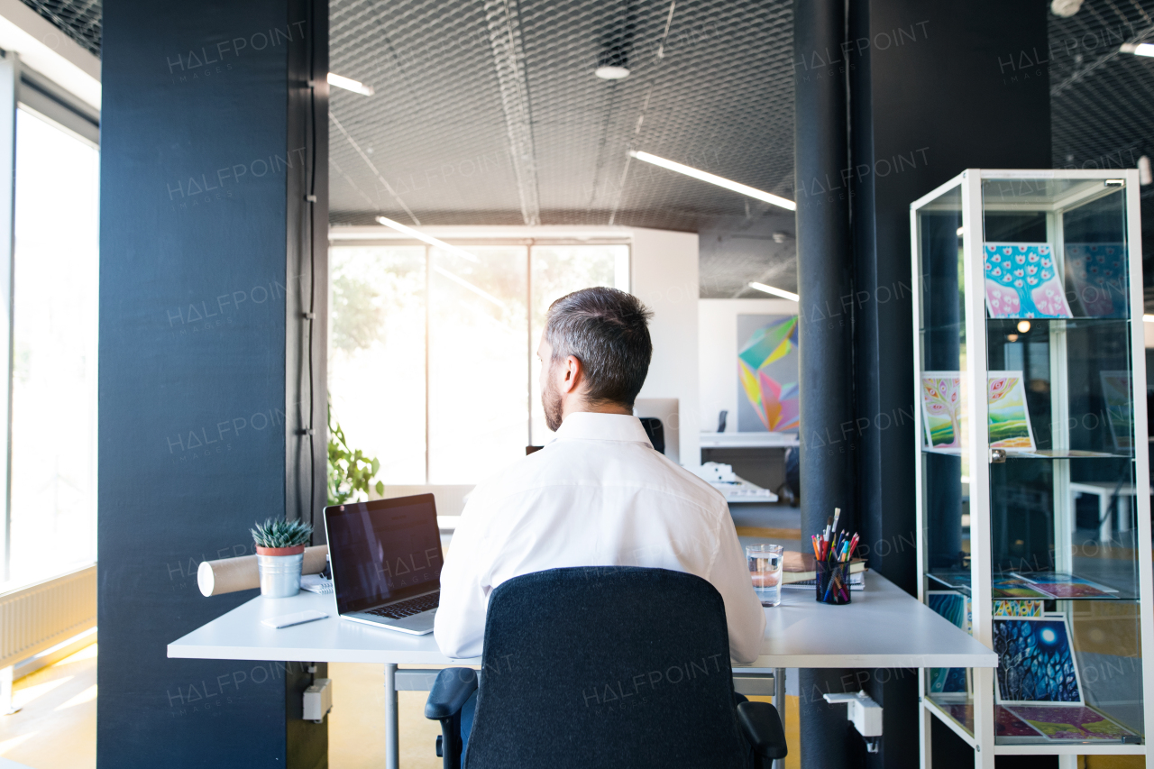 Handsome young businessman in his office, sitting at the desk, laptop in front of him. Rear view.