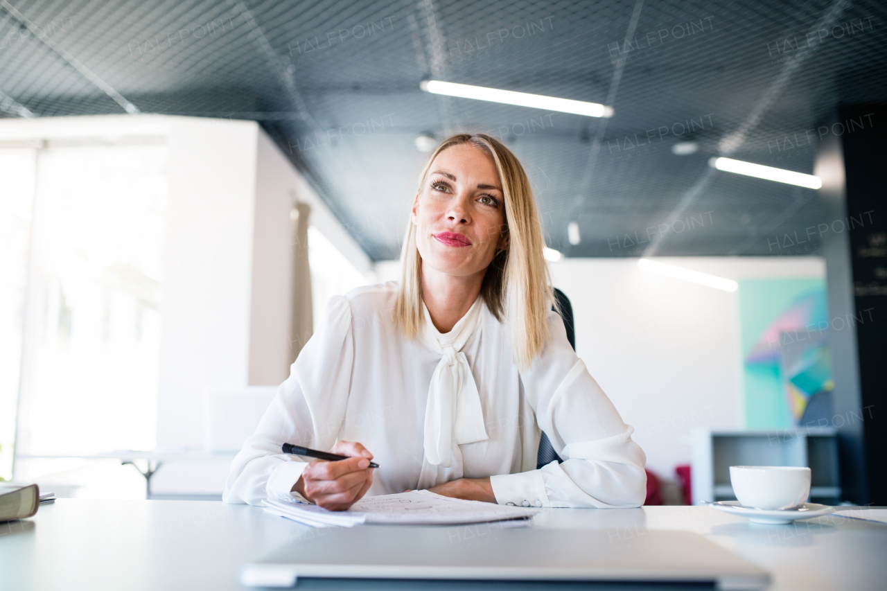 Beautiful young businesswoman in her office, sitting at the desk, writing something into her notebook.