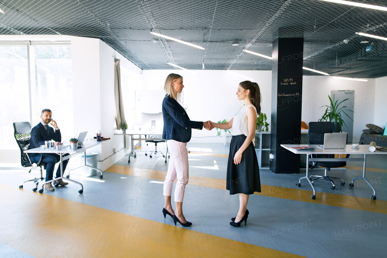 Beautiful young business people in the office. Two women shaking hands.