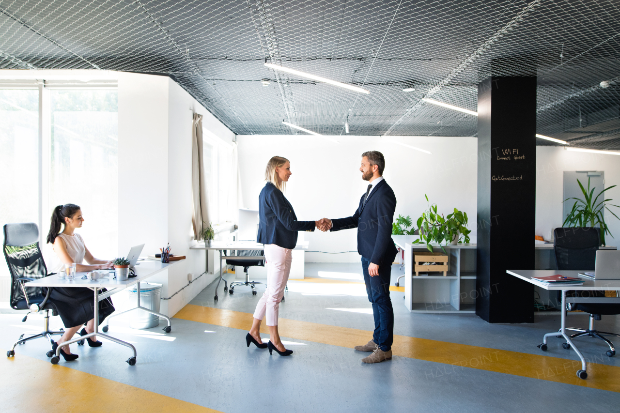 Beautiful young business people in the office. Man and woman shaking hands.