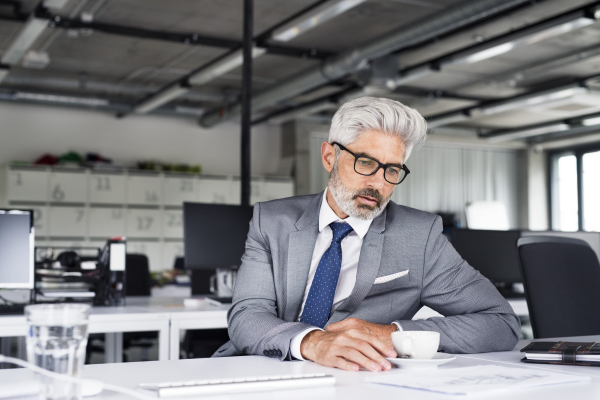 Mature businessman in gray suit sitting at desk in the office.