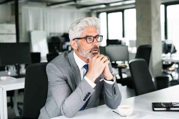 Mature businessman in gray suit sitting at desk in the office.