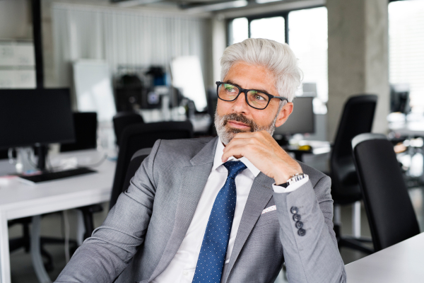 Mature businessman in gray suit sitting at desk in the office.