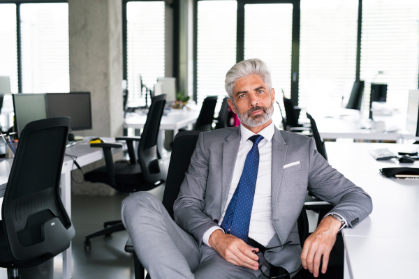 Mature businessman in gray suit sitting at desk in the office.