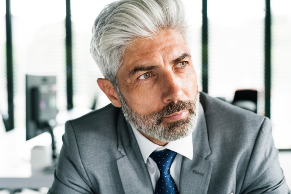 Mature businessman in gray suit sitting at desk in the office.