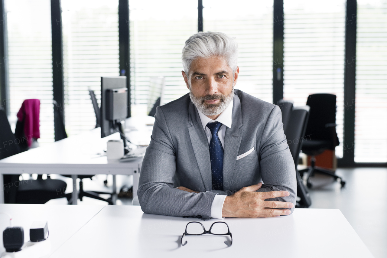 Mature businessman in gray suit sitting at desk in the office.