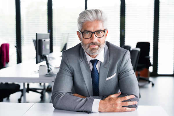 Mature businessman in gray suit sitting at desk in the office.