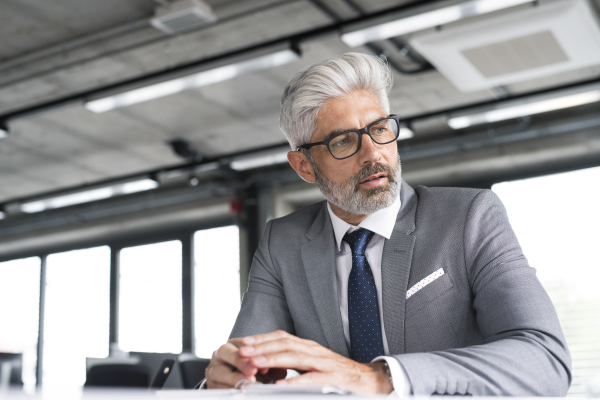 Mature businessman in gray suit sitting at desk in the office.