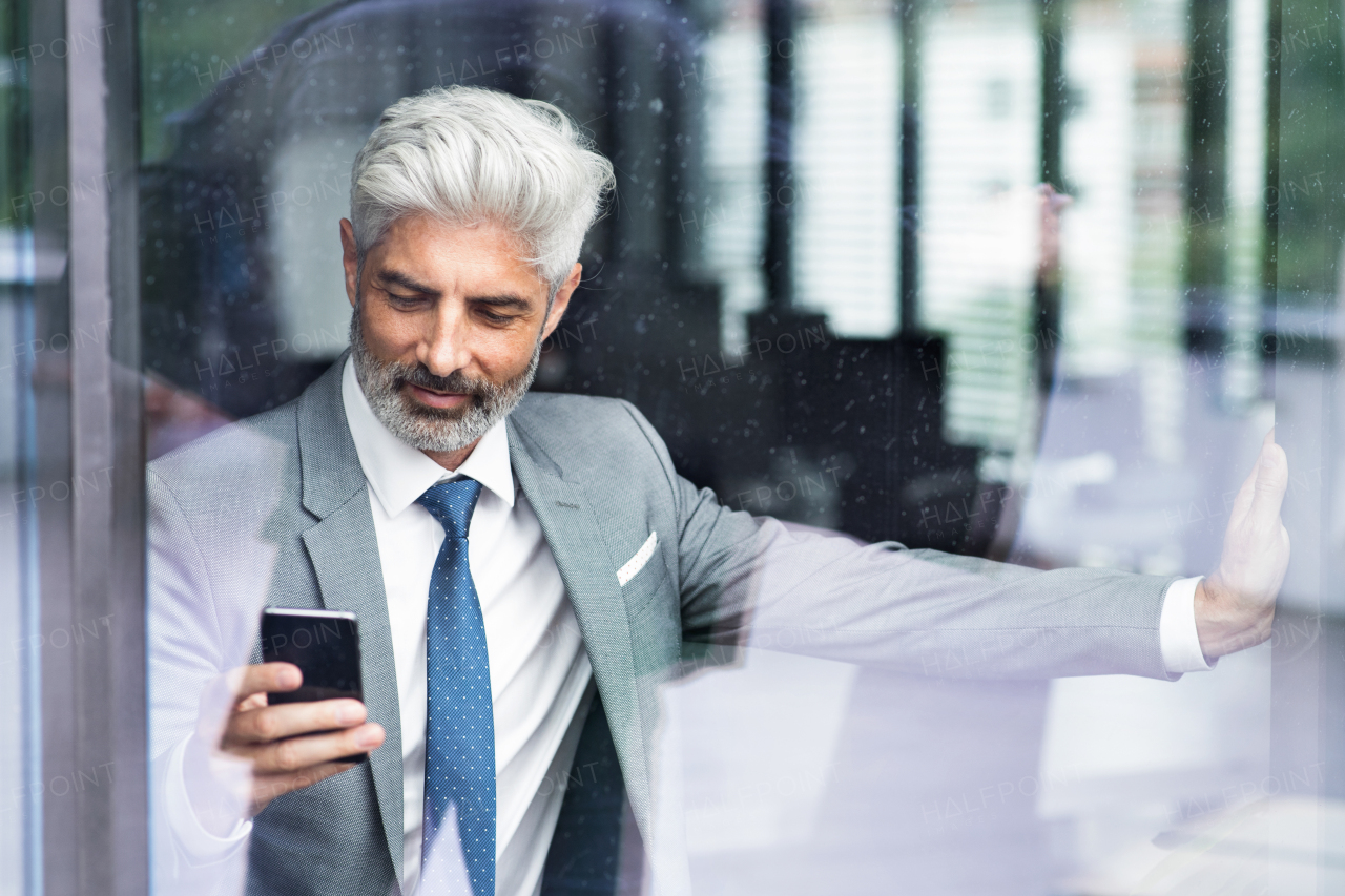 Mature businessman in gray suit in the office standing at the window, holding a smartphone, texting.