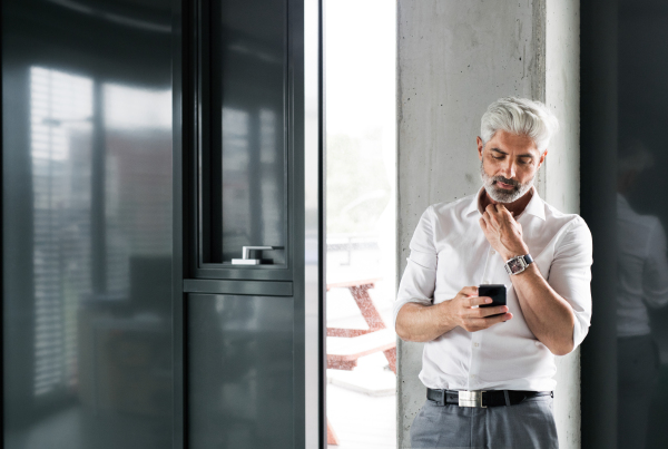 Mature businessman in white shirt in the office standing. Man holding smartphone, texting.