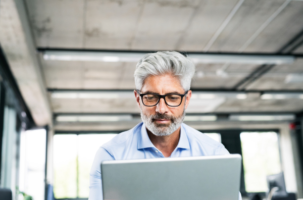 Mature businessman with laptop at the desk in creative office, working.