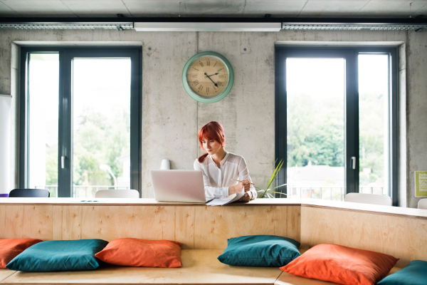 Beautiful businesswoman with laptop in her office.