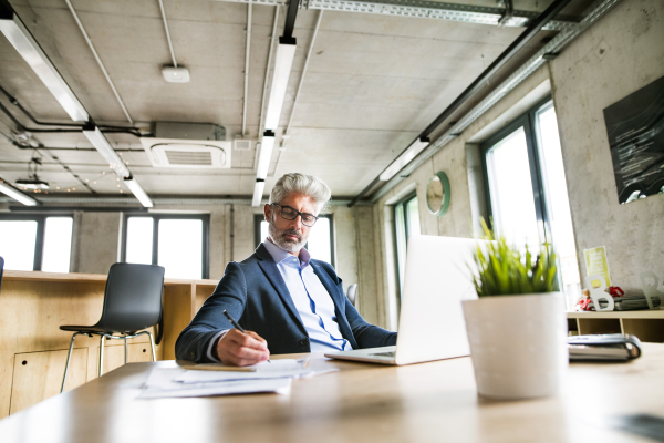 Mature businessman with laptop at the desk in the office, writing.