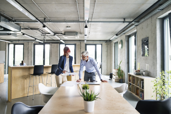 Two business people in the workplace. Woman and man sitting in the office discussing a project.