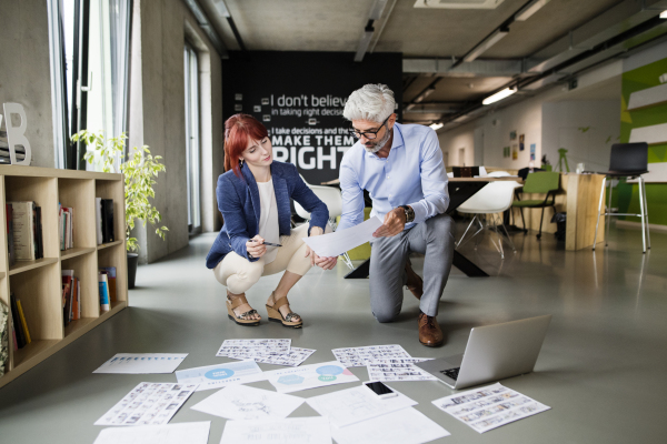 Two business people in the workplace. Woman and man in the office consulting a project together.