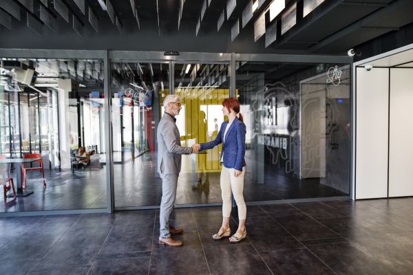 Beautiful business people in the office. Man and woman shaking hands. Welcoming a business partner.