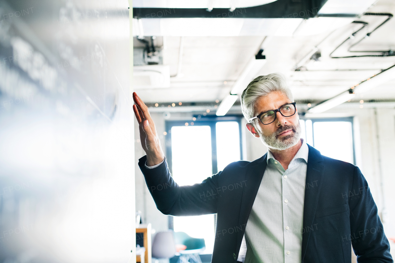 Mature businessman in suit standing in the office.