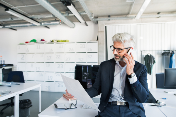 Mature businessman sitting on desk in the office, reading documents, making a phone call.