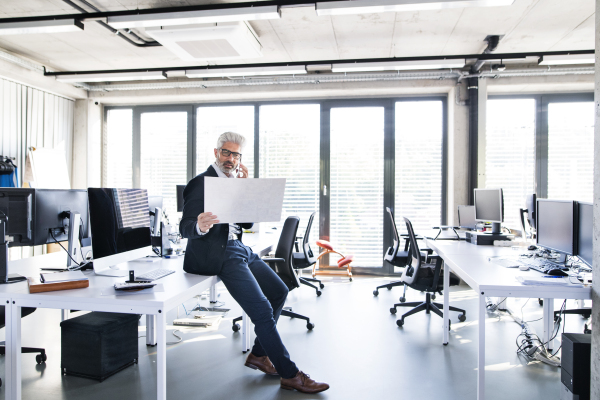 Mature businessman sitting on desk in the office, reading documents, making a phone call.