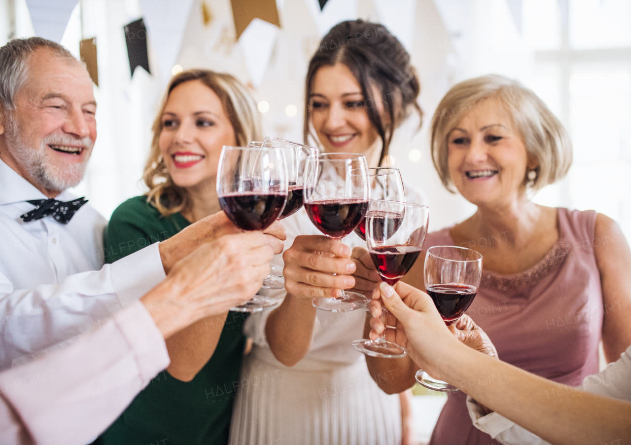 A multigeneration family clinking glasses with red wine on a indoor family birthday party, making a toast.