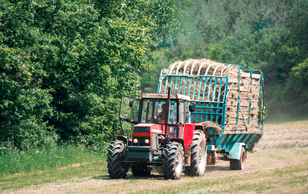 A man driving a tractor with a trailer full of hay on a field on a sunny summer day. Copy space.