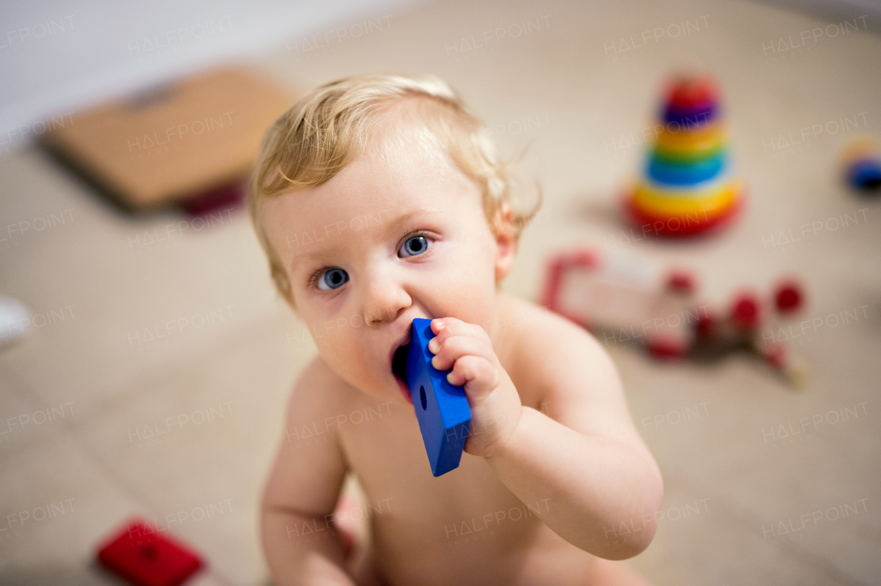 A happy naked boy sitting on the floor at home, playing with wooden toys. A toddler child putting a wooden brick in their mouth.