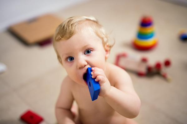 A happy naked boy sitting on the floor at home, playing with wooden toys. A toddler child putting a wooden brick in their mouth.