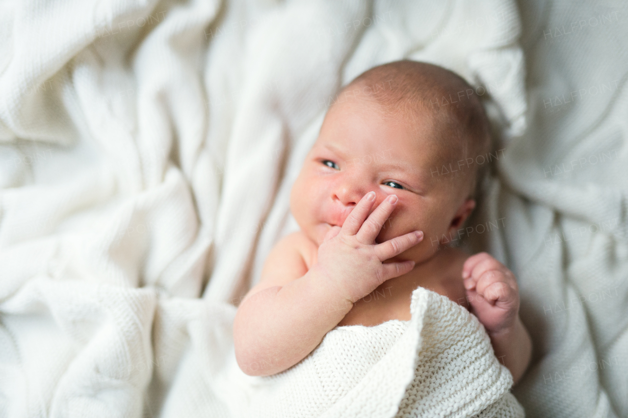 A close-up of a cute newborn baby lying on bed, covered by a white blanket, a finger in her mouth. Top view.