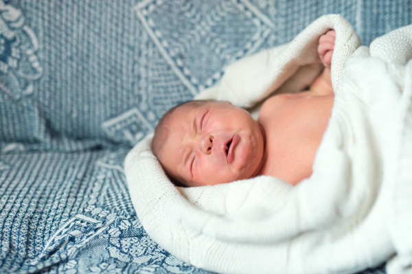 A close-up of a crying newborn baby lying on a sofa, covered by a white blanket. Side view. Copy space.