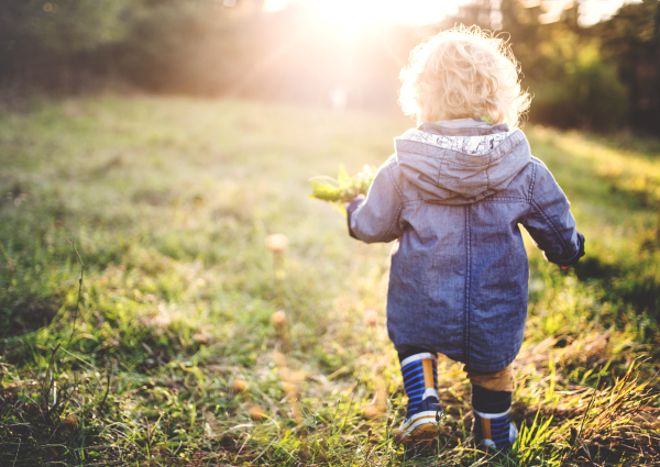 A little toddler boy walking outdoors on a meadow at sunset. Rear view. Copy space.