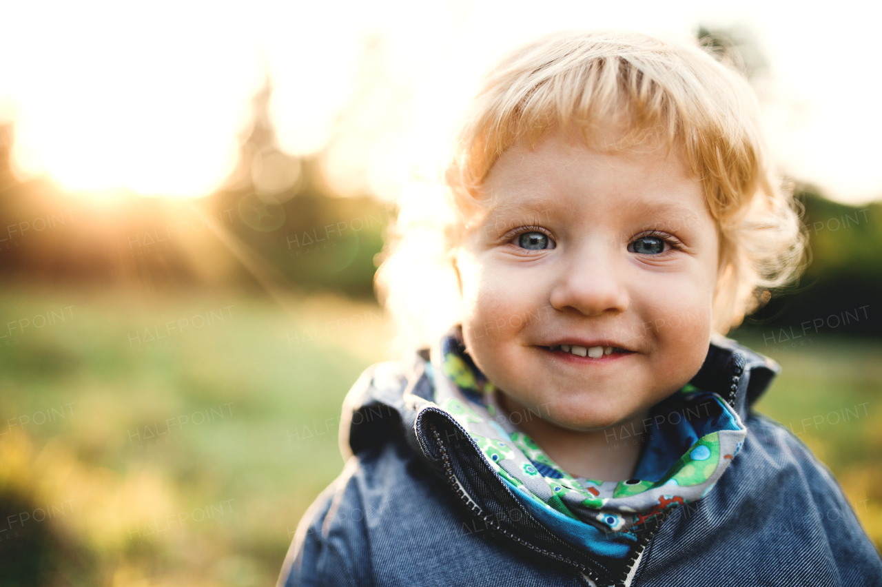 A happy little toddler boy standing outdoors on a meadow at sunset. Close-up.