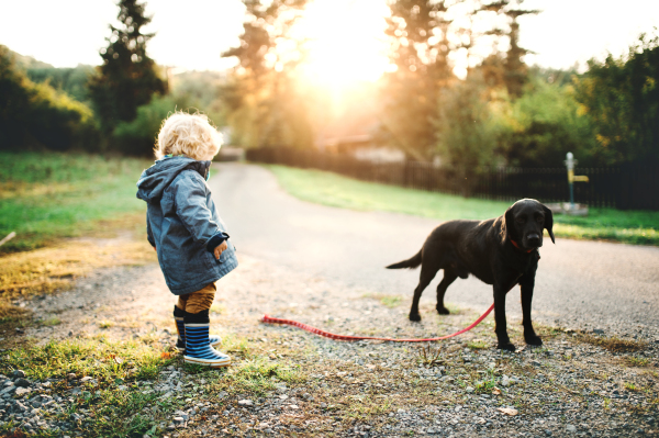 A little toddler boy and a dog standing outdoors on a road at sunset.